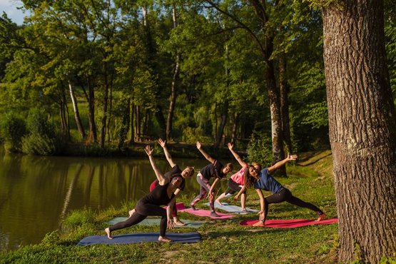 Vinyasa joga (7)